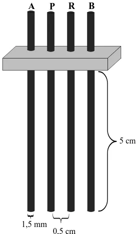 Gambar 3.4 Elektroda konfigurasi Wenner 