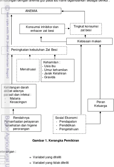 Gambar 1. Kerangka Pemikiran 