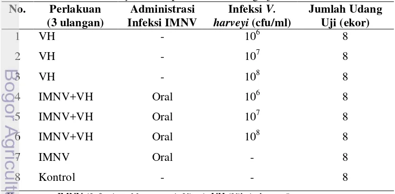 Tabel 1. Desain percobaan 1, dampak ko-infeksi virus IMNV dan berbagai dosis 