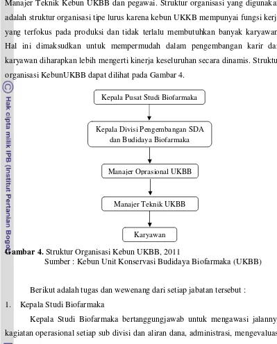 Gambar 4. Struktur Organisasi Kebun UKBB, 2011 