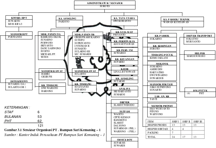 Gambar 3.1 Struktur Organisasi PT . Rumpun Sari Kemuning – 1    