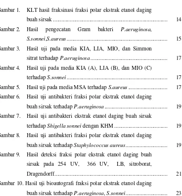 Gambar 1. KLT hasil fraksinasi fraksi polar ekstrak etanol daging 