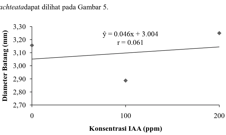 Gambar 5.Hubungan pemberian IAA dengan diameter batangMucuna bracteata 