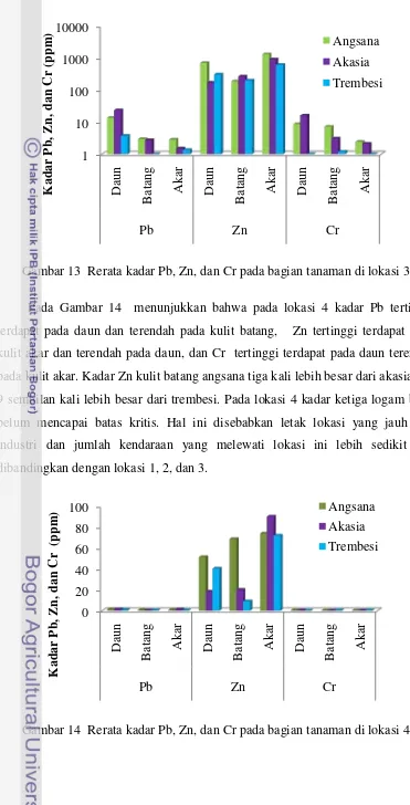 Gambar 13  Rerata kadar Pb, Zn, dan Cr pada bagian tanaman di lokasi 3 