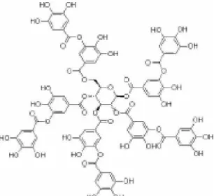 Gambar 2.1 Struktur Molekul Tanin ( Sumber: Kartohardjono, Sutrasno, 2008) 