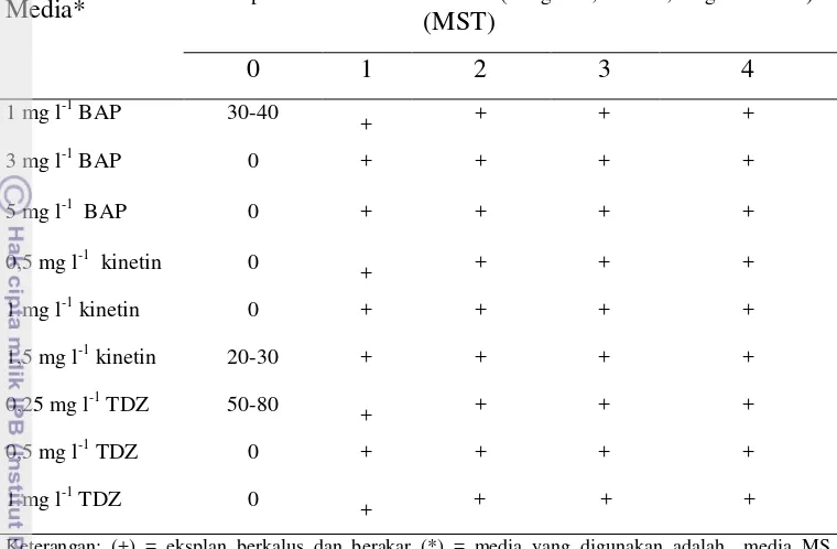 Gambar 10 Tunas yang terbentuk pada perlakuan  MS + 0,25 mg l-1 TDZ 