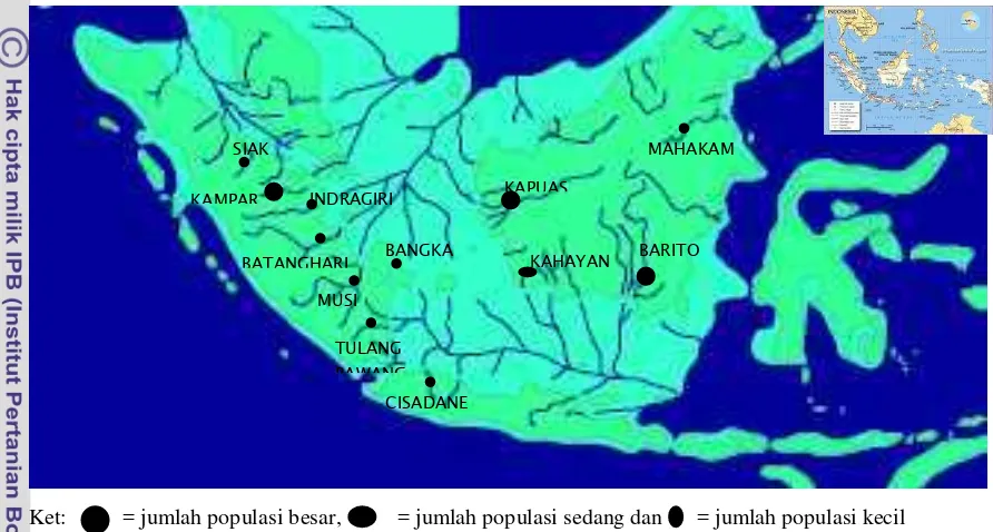 Gambar 5. Penyebaran ikan belida di Indonesia (Voris, 2000) 