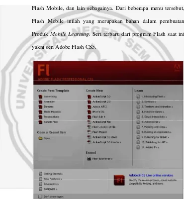 Gambar 4.1. Tampilan Adobe Flash CS5