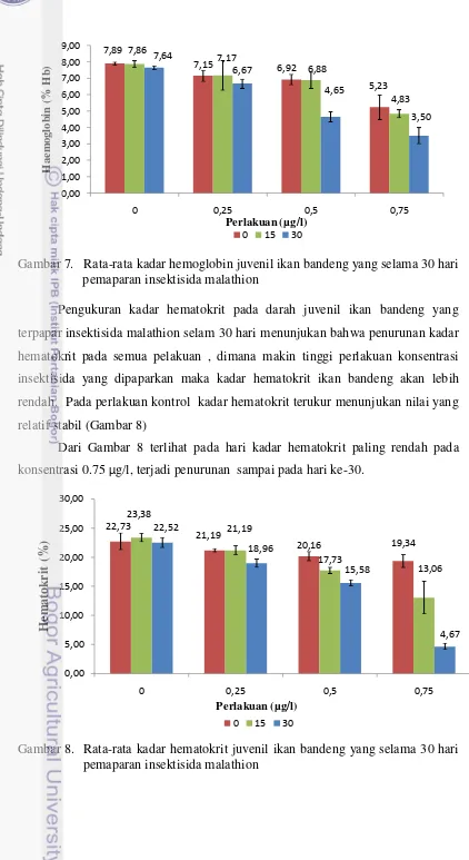 Gambar 7.   Rata-rata kadar hemoglobin juvenil ikan bandeng yang selama 30 hari  