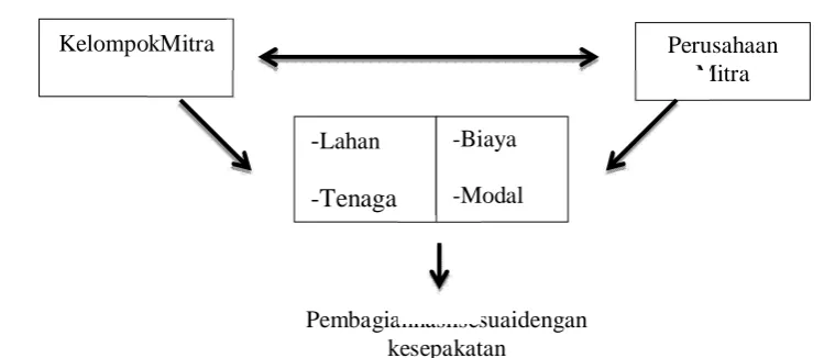  Gambar 6. KelompokMitra 