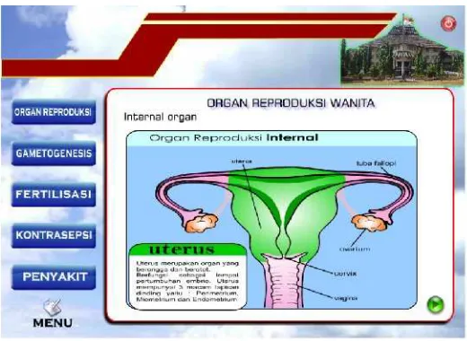 Gambar 1 Multimedia sistem reproduksi