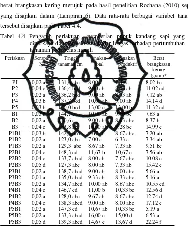 Tabel 4.4 Pengaruh perlakuan  pemberian pupuk kandang sapi yang 