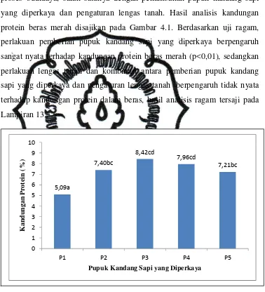 Gambar 4.1 Pengaruh perlakuan pemupukan terhadap kandungan protein beras merah 