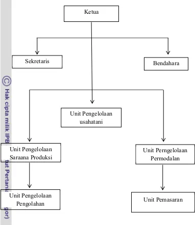 Gambar 2. Struktur Organisasi Gapoktan Jaya Tani Tahun 2010 