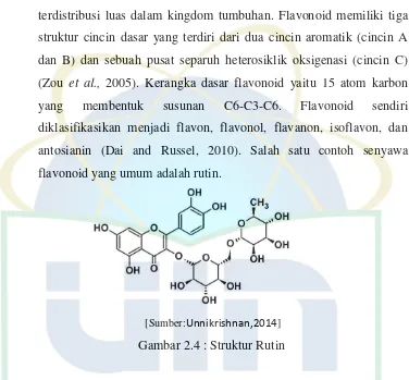 Gambar 2.4 : Struktur Rutin 