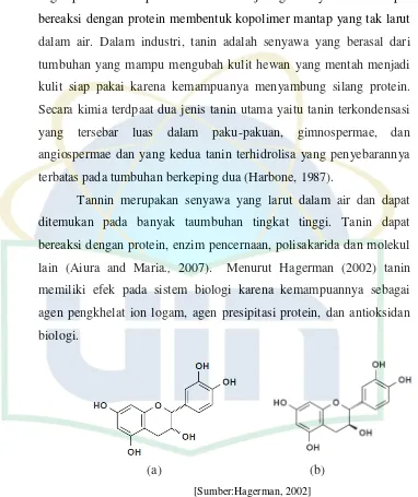 Gambar 2.6 : epikatekin (a) katekin (b) 