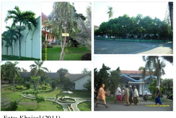 Gambar 3 Foto: Khoisol (2011) Gambar 3.  Fungsi Vegetasi sebagai estetika dan pengendali iklin ,  aktivitas pendidikan dan buaya pesantren lanskap PPNJ, khususnya lanskap Ecopesantren