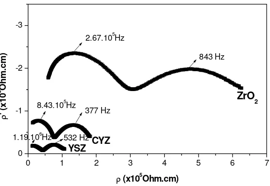 Figure 2 SEM photographs of (a) YSZ and (b) CYZ. 