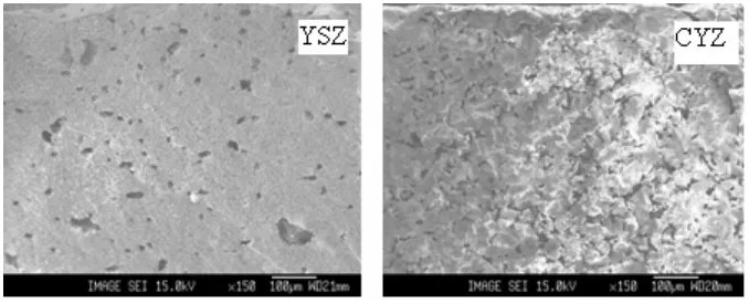 Figure 6 Microstructure images of SEM analysis of YSZ and CYZ with magnification 150x
