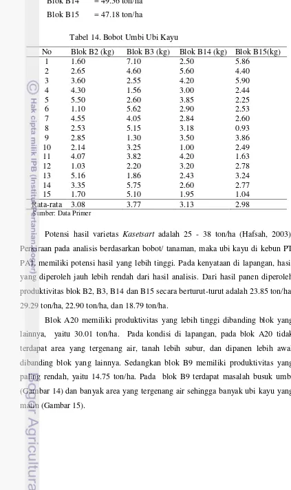 Tabel 14. Bobot Umbi Ubi Kayu 