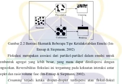 Gambar 2.2 Ilustrasi Skematik Beberapa Tipe Ketidakstabilan Emulsi (Im-