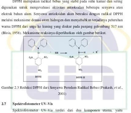 Gambar 2.3 Reduksi DPPH dari Senyawa Peredam Radikal Bebas (Prakash, et al., 