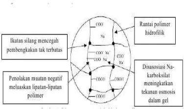 Gambar 4  Diagram representasi dari jaringan polimer. 