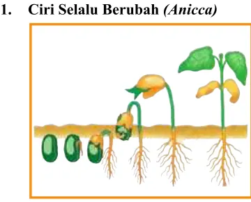 Gambar 2 : Proses perkembangan tumbuh-