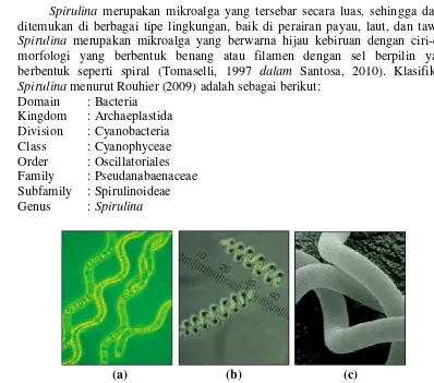 Gambar 2. Spirulina sp. diamati dengan mikroskop (a) struktur filamen (b) bentuk pilinan sempurna (c) tampak dari mikroskop elektron (Sumber: Henrikson, 2009) 