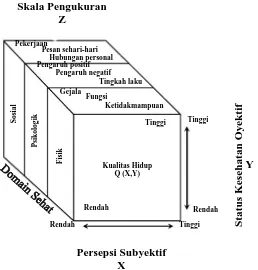 Gambar 1. Skema Konsep Domain dan Variabel yang Terlibat dalam Penentuan Kualitas Hidup Menurut Testa dan Simonson (1996)