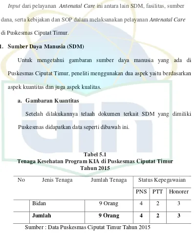 Tabel 5.1 Tenaga Kesehatan Program KIA di Puskesmas Ciputat Timur  