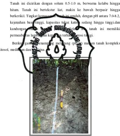 Gambar 9. Penampang Melintang (Profil) Jenis Tanah Rendzina 