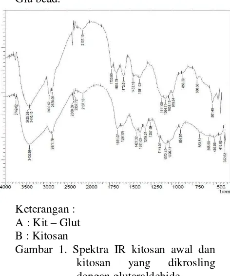 Gambar 2. Skema Crossling Kitosan dengan 