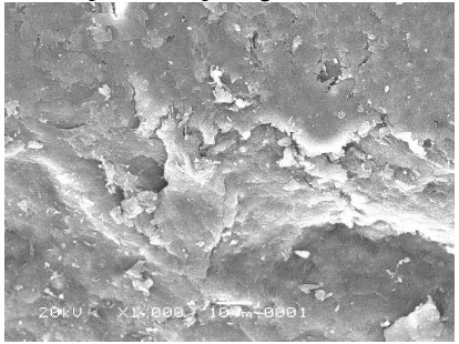 Gambar 5 Variasi croslingker kitosan-Glu bead dalam mengadsorpsi logam Cr(VI) 