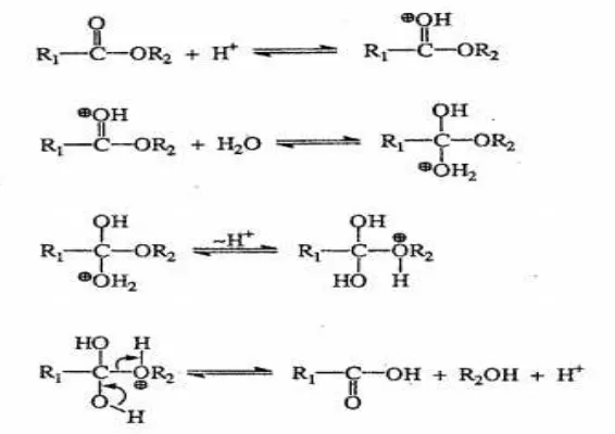 Gambar 2.3 Prinsip Reaksi Hidrolisis (Larson and Weber, 1994). 