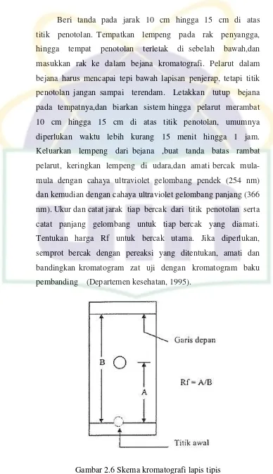 Gambar 2.6 Skema kromatografi lapis tipis 