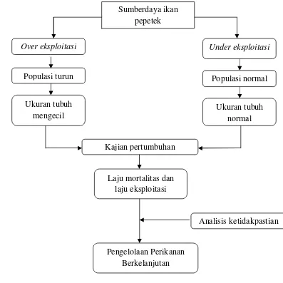 Gambar 1. Kerangka pemikiran penelitian pengkajian stok dan analisis sumberdaya 