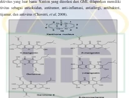 Gambar 2. Inti xanthone dengan jumlah IUPAC karbon dan struktur 
