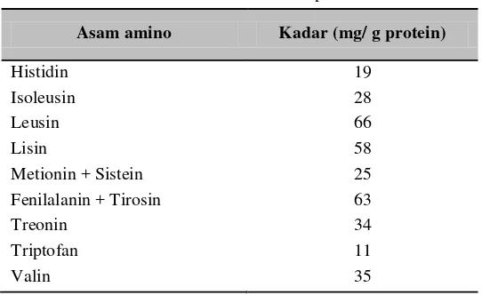 Tabel 5. Susunan asam amino pola FAO 