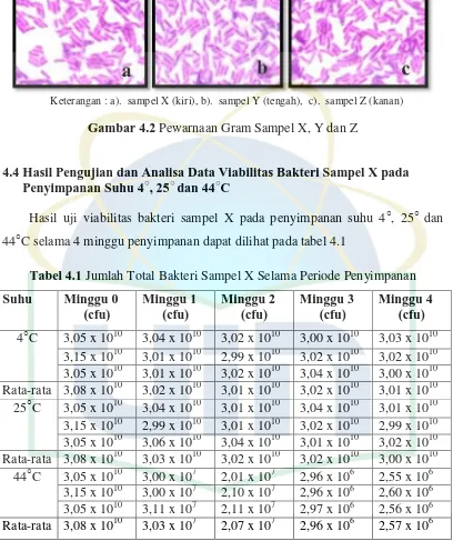 Tabel 4.1 Jumlah Total Bakteri Sampel X Selama Periode Penyimpanan 