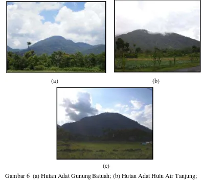 Gambar 6  (a) Hutan Adat Gunung Batuah; (b) Hutan Adat Hulu Air Tanjung;      