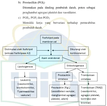 Gambar 6. Metabolisme Asam Arakhidonat dan Mediator Peradangan [Price & Lorraine, 2006]