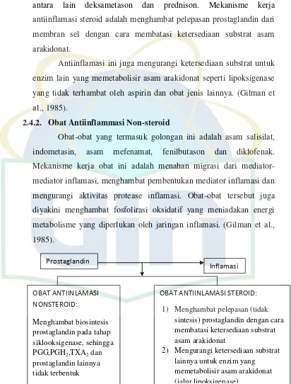 Gambar 7. Mekanisme Kerja Obat Antiinflamasi Steroid dan Nonsteroid terhadap Prostaglandin 