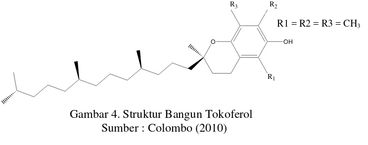 Gambar 4. Struktur Bangun Tokoferol 