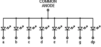Gambar 12 : Common Anoda