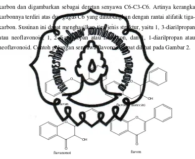 Gambar 2. Senyawa–senyawa golongan flavonoid (Kristanti, 2008) 