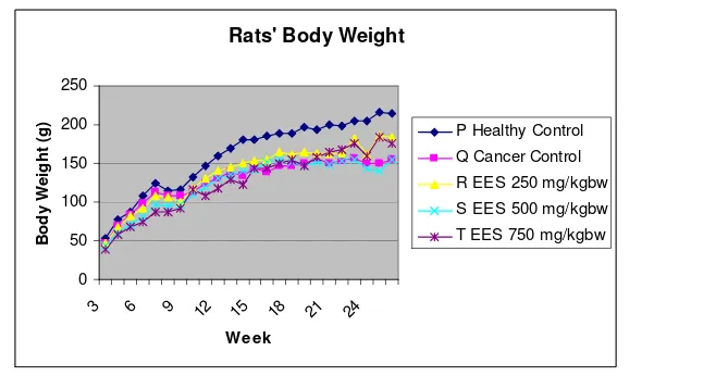 Figure 2. Body weights of female rats in the study of EES Effect on tumor 