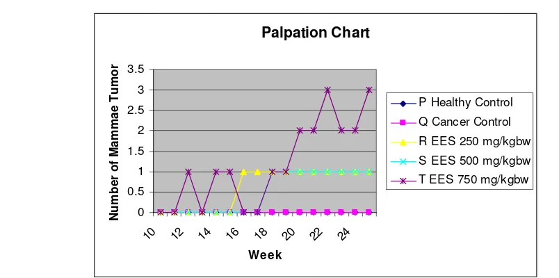 Figure 3. Number of tumor palpated week by week 