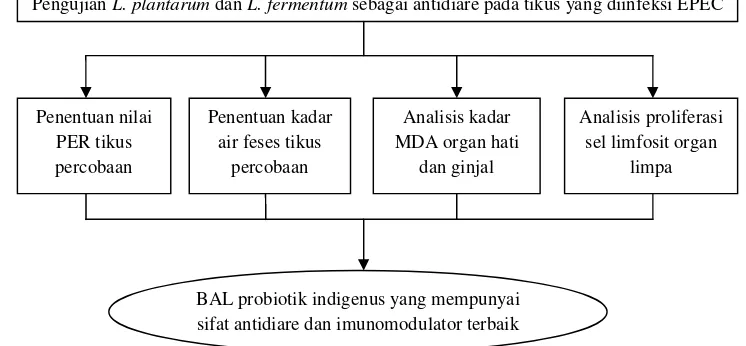 Gambar 5. Diagram Alir Kerangka Penelitian