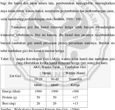 tabel tambahan gizi ibu hamil trimester ketiga. 